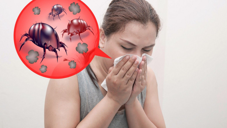 House Dust Mite Allergy Market Outlook and Growth Analysis