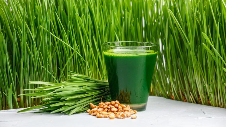Market Entry Strategies for Wheatgrass Brands