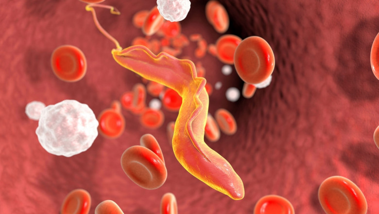 Comprehensive Guide to Modern Chagas Disease Treatment Options and Therapeutic Advances