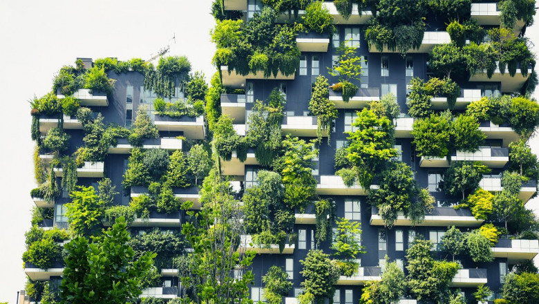 Green Buildings Market Expansion: Size, Trends &amp; Forecast