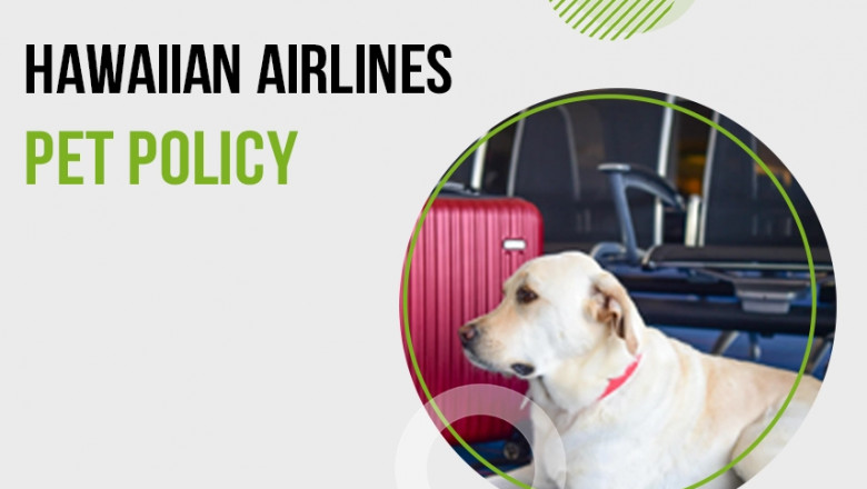 Hawaiian Airlines Pet Policy- Cat & Dog Fly in Cabin