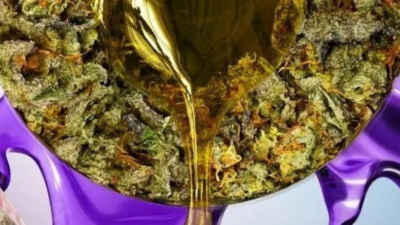 Exploring the Rise of THCA Dabs in the Cannabis Community