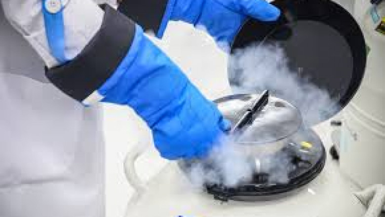 Temperature Controlled Pharmaceutical Containers Market: Size, Trends, and Growth Opportunities