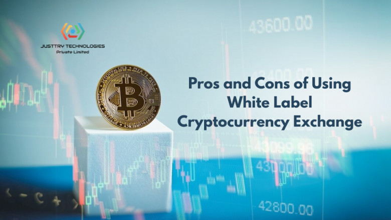 Pros and Cons of Using White Label Cryptocurrency Exchange