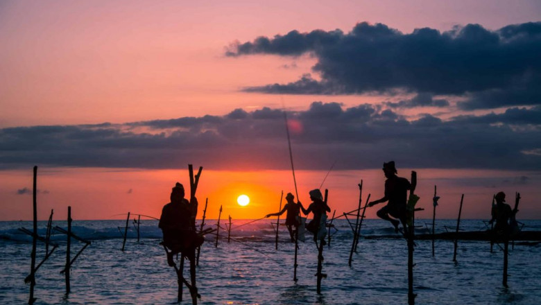Things to do in mirissa beach