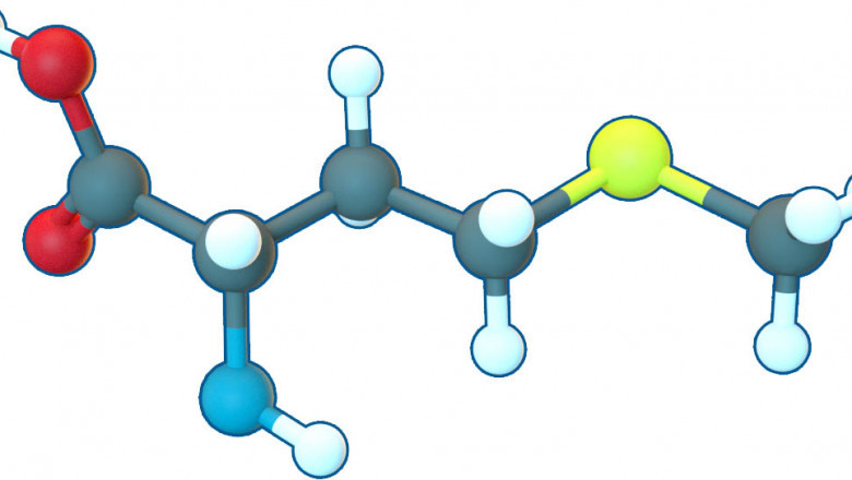 United Kingdom Pelargonic Acid Market