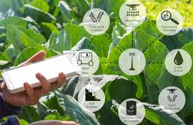 Agritech Platform Market Report Opportunities, and Forecast By 2033