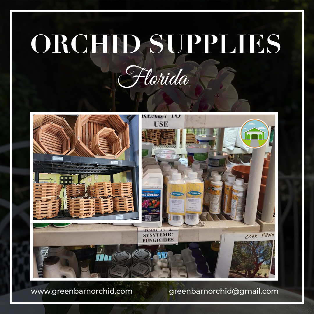 Orchid Supplies Florida: Top-Notch Orchid Care Essentials