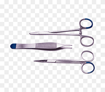 Surgical Needle Holders Market Analysis Stunning Growth To 2033