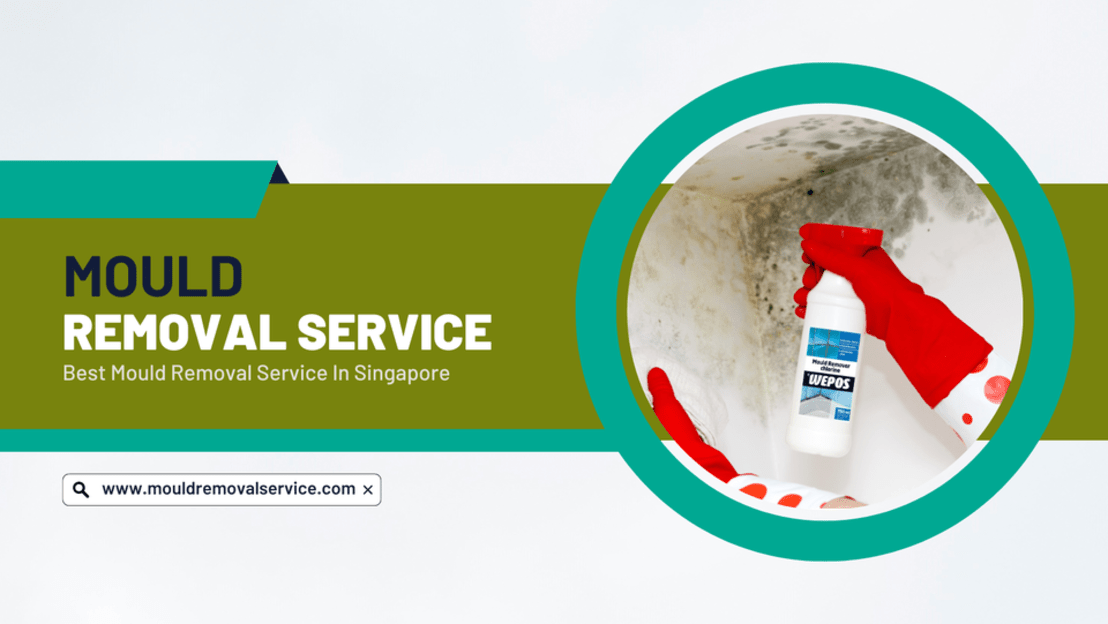 Significance Of Mould Removal Services Singapore