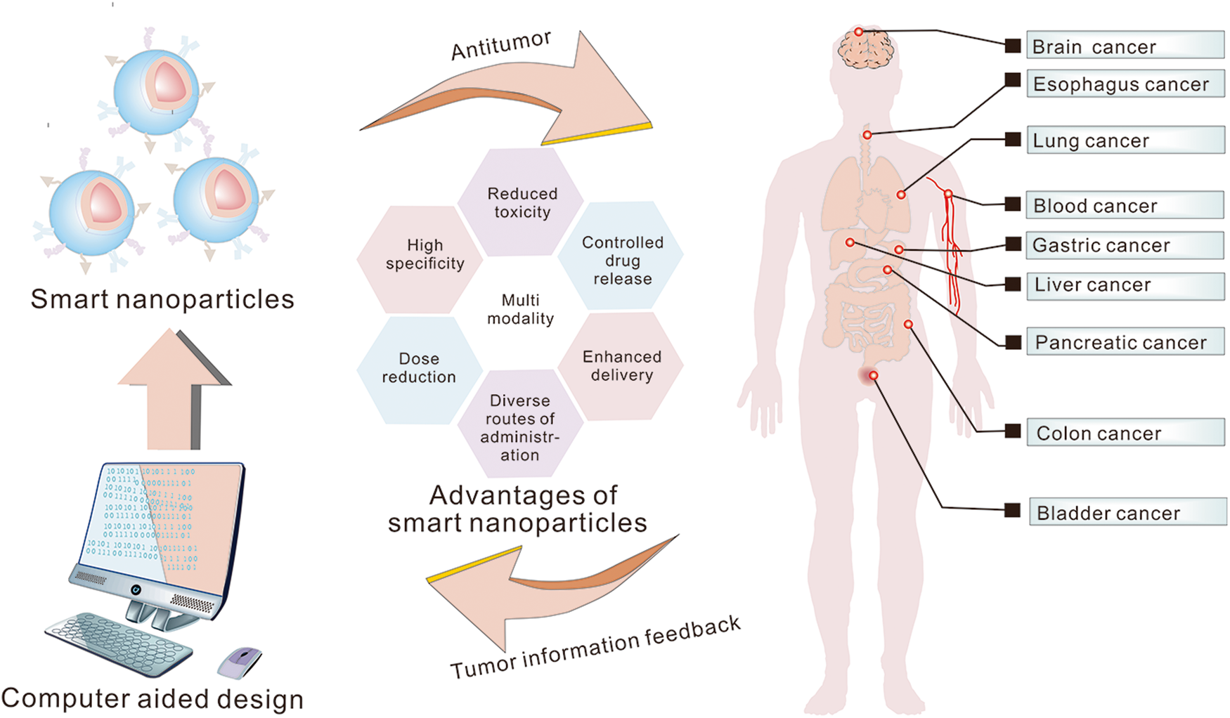 Nano Therapy Market Growth, Trends and Value Chain 2022-2030