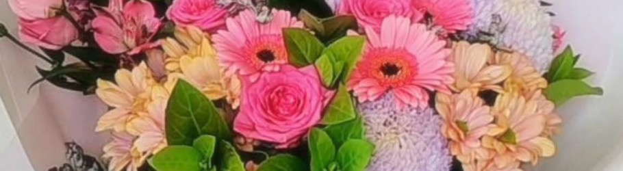 blossombydaisy