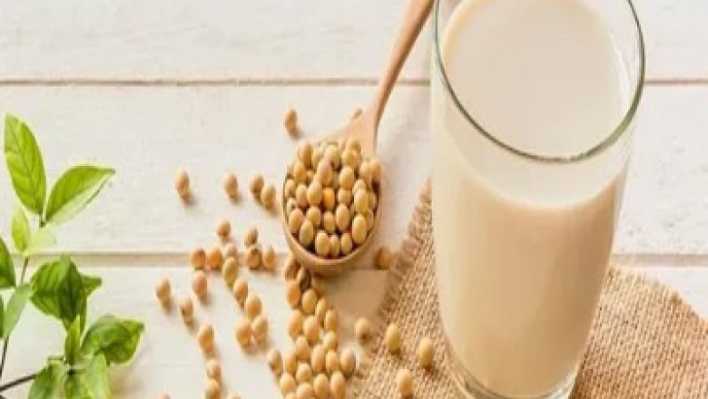 Organic Soy Lecithin Market is Estimated to Witness High Growth owing to Increasing Demand for Plant-based Products