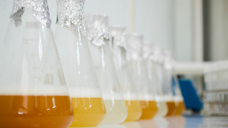 Plasmid Purification Market to Grow Significantly owing to Increasing Demand for Gene Therapies