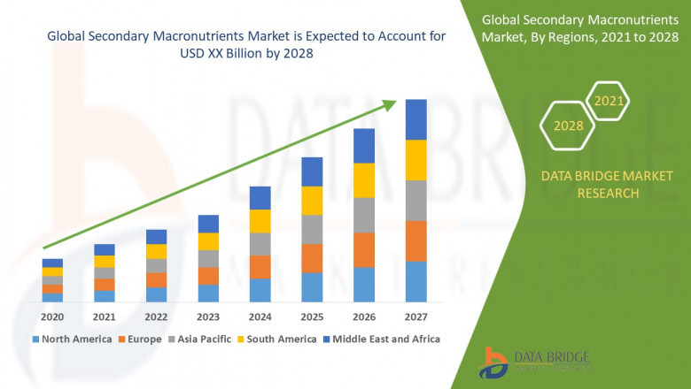 Secondary Macronutrients Market Size Analysis Report, Share, Trends, Growth and Competitive Outlook