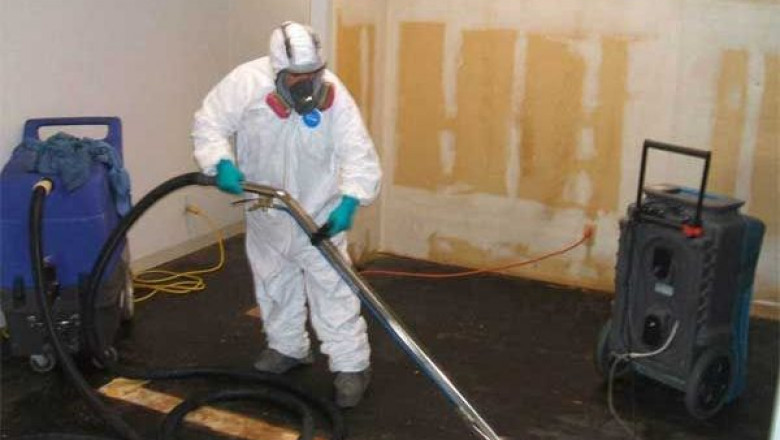 Comprehensive Mold Remediation – Ensure a Healthier Home Environment