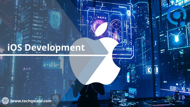 iOS Development Services - Cost 2025