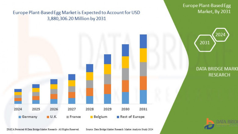 North America Plant-Based Egg Market Future Insights and Forecast Pections 2031