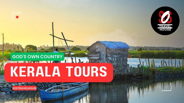 Kerala Awaits: Backwaters, Beaches, and Beyond