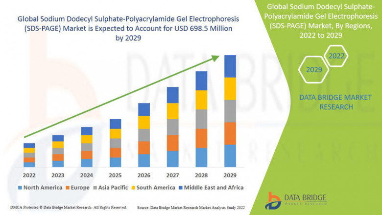 Sodium Dodecyl Sulphate-Polyacrylamide Gel Electrophoresis (SDS-PAGE) Market Trends, Challenges, and Forecast 2029