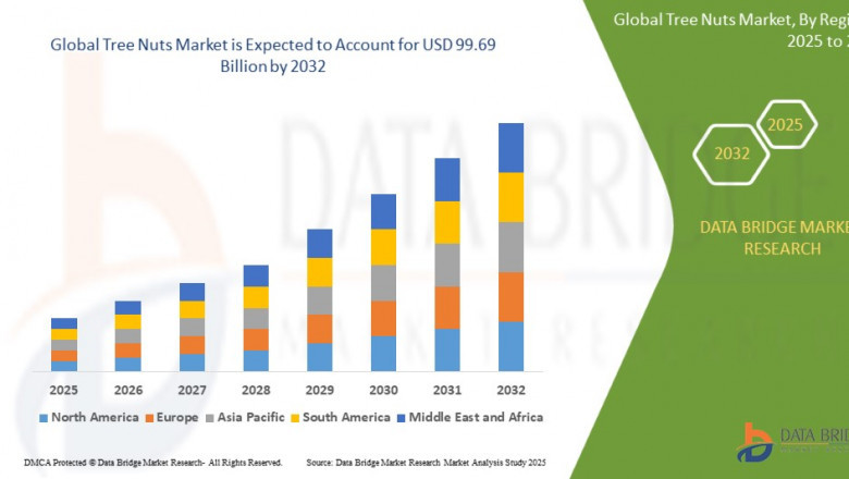 Tree Nuts Market Grows on Rising Demand for Plant-Based Protein and Healthy Snacking