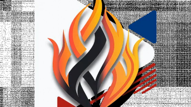 Professional Logo Designs and Digitizing Services