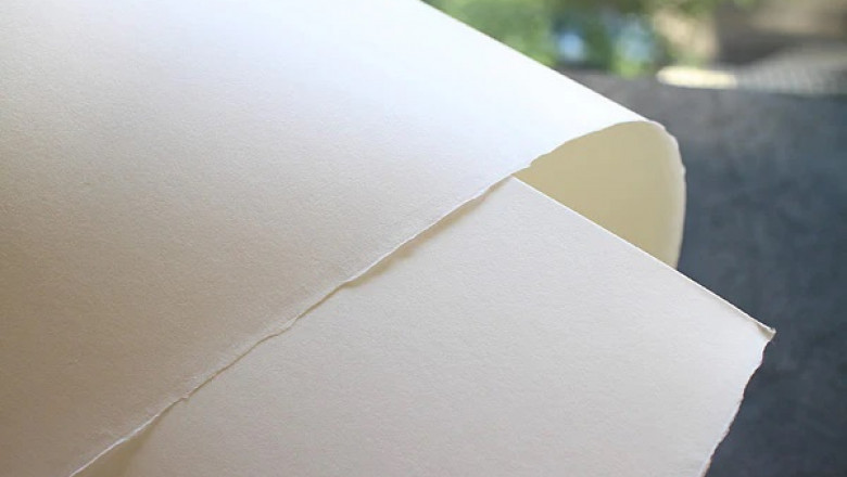 Bamboo Paper Manufacturing Plant Setup Report 2025: Business Plan, and Project Cost