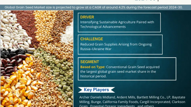 Grain Seed Market on Track for 4.2% CAGR Growth | Demand & Technological Trends