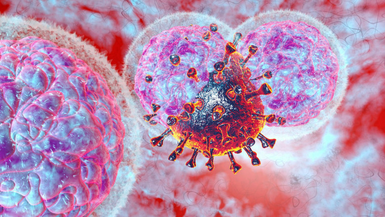 How Natural Killer Cells Defend Your Body Against Cancer and Viral Infections