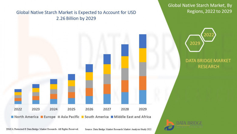 Native Starch Market Overview, Growth Analysis, Trends and Forecast By 2029