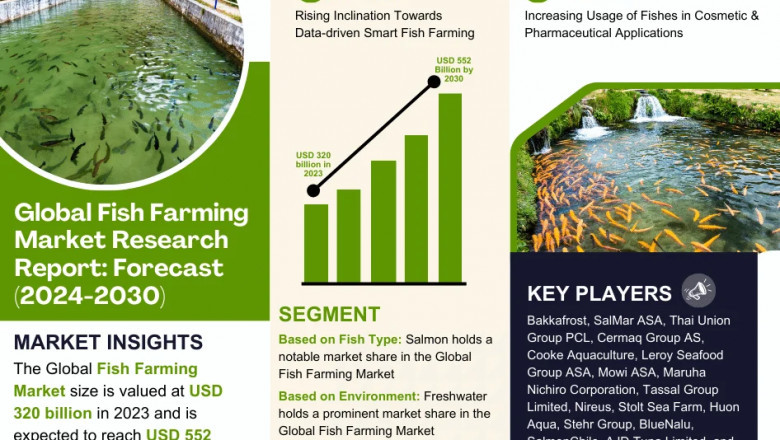 Head Mounted Display Market Set for Explosive Growth with 33.81% CAGR by 2030
