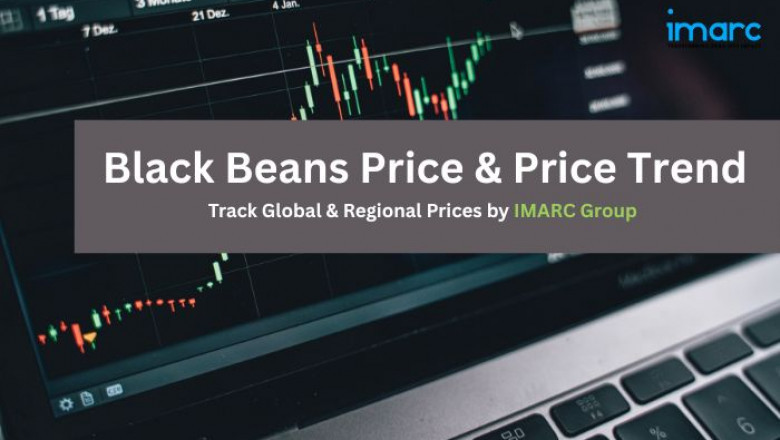 Black Beans Prices, Trend, Index and Forecast Data