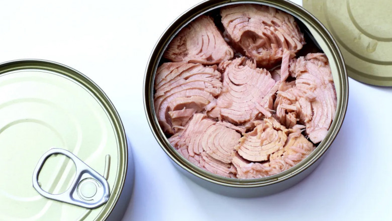 Canned Tuna Manufacturing Plant Report- Comprehensive Project Analysis and Raw Materials Requirement