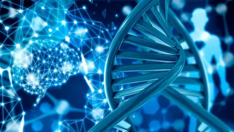 Spatial Genomics Transcriptomics Market to Surge on Spatially Resolved Transcriptomics
