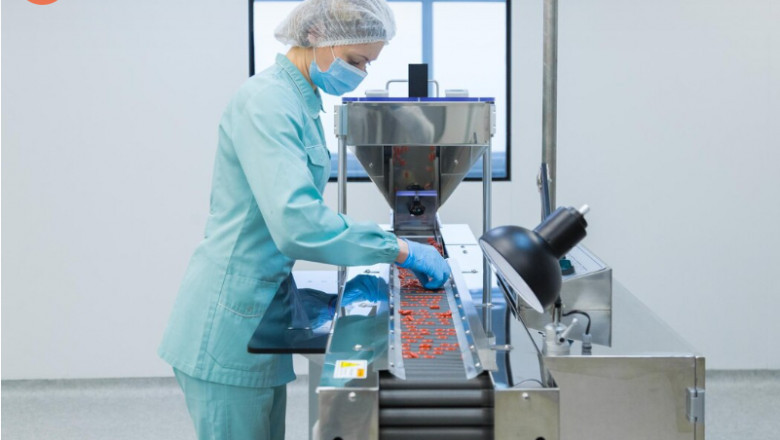 Scalable Custom Protein Expression Solutions: From Bench to Bulk Production