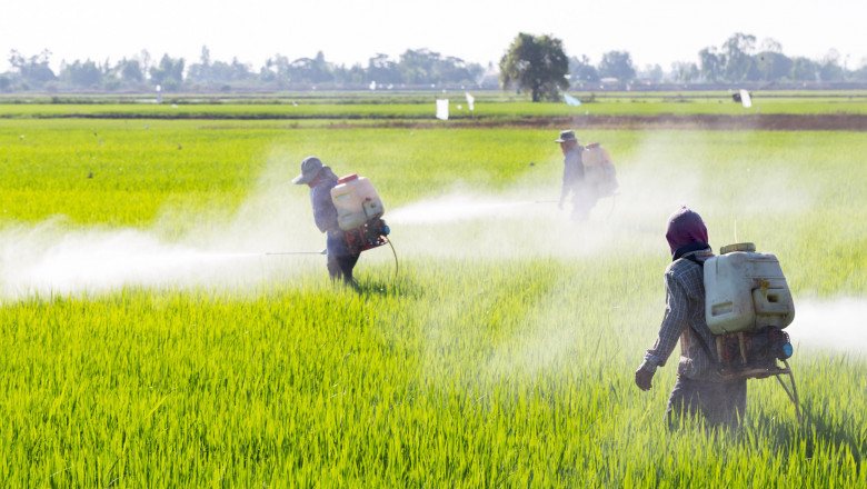 Carbamate Insecticides Market: Balancing Efficacy with Environmental Considerations