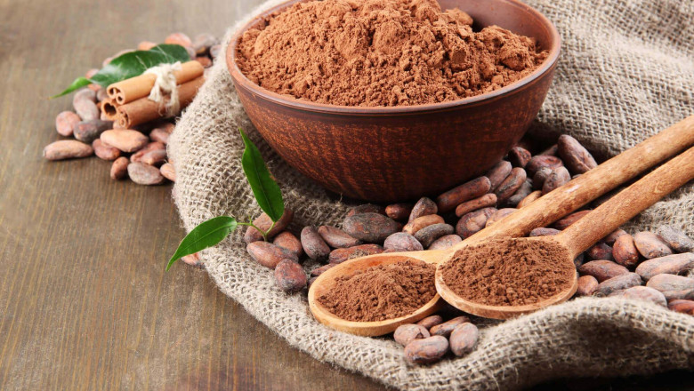 Unit Cost Of Manufacturing A Cacao Powder: In-Depth Project Overview, and Setup Details