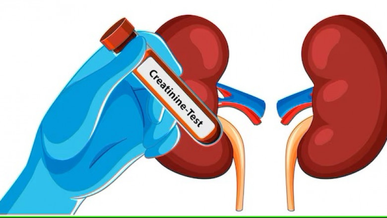 The Power of Ayurvedic Treatment for Kidney Creatinine: Healing Kidneys Naturally