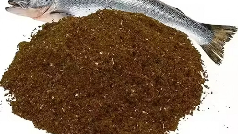Fish Protein Concentrate Market to Soar on Advanced Enzymatic Hydrolysis