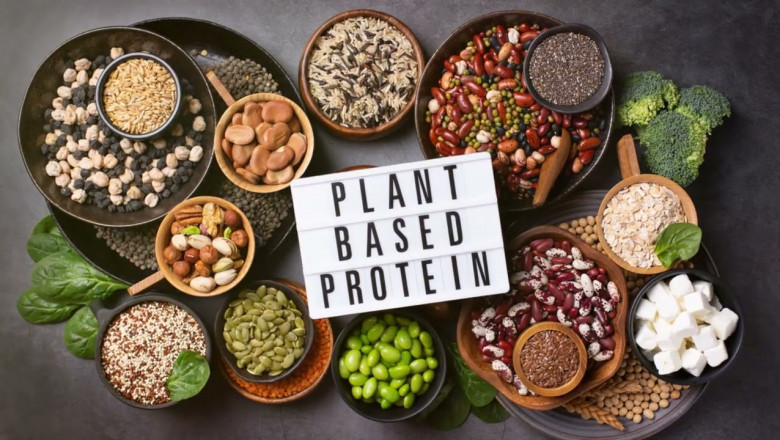 Plant-Based Protein Market: A Sustainable Shift in Global Nutrition