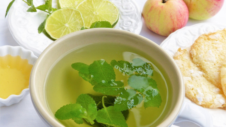 Refreshing Lemon Balm Recipes to Brighten Your Day