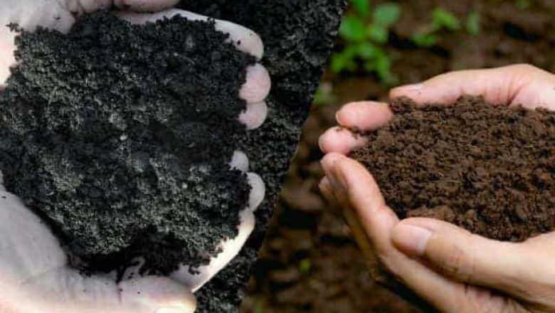 Soil Conditioners Market: Enhancing Soil Health for Sustainable Agriculture