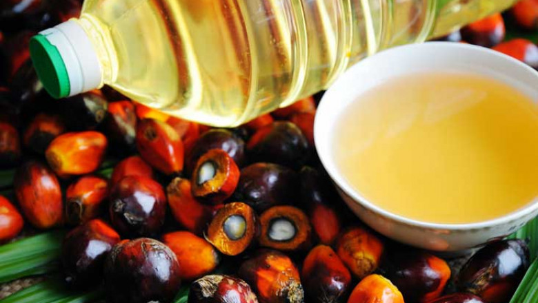 Palm Oil Manufacturing Plant Cost 2025: Comprehensive Business Plan and Unit Setup