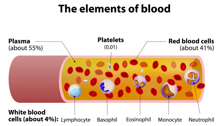 Blood Plasma Market Evolution: A Lifesaving Industry in Transition