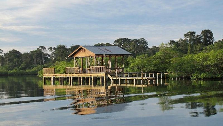 Panama Jungle Eco Resorts: Experience Nature in Its Purest Form