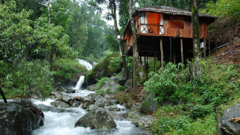 Discover Nature’s Beauty with Coorg Tour Packages