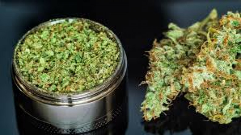 The Growing Demand for Weed Delivery in Guelph