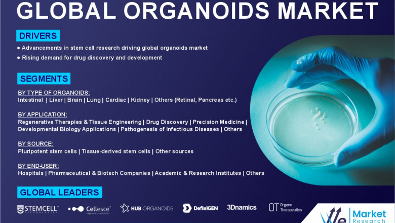 Organoid Models Set to Replace Traditional Lab Methods by 2035