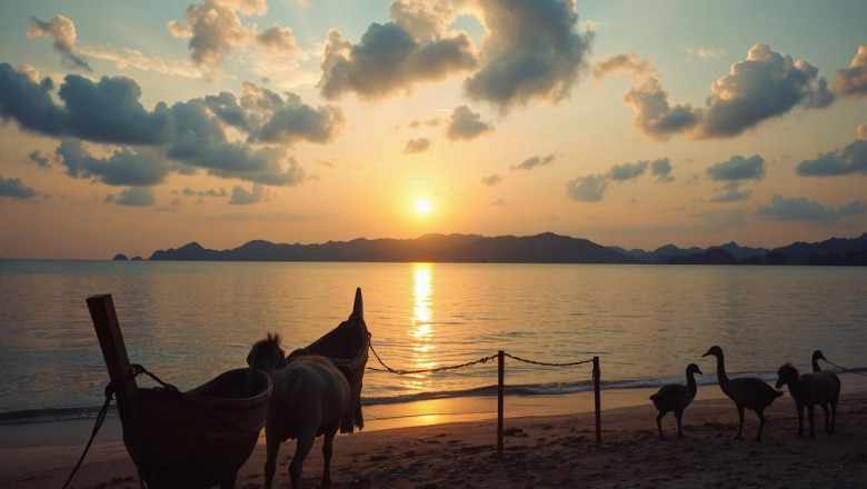 Best Time to Visit Andaman with Family in 2025