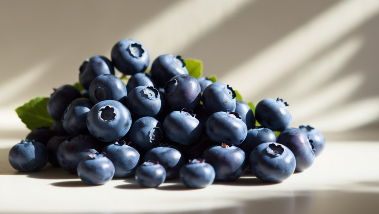 Blueberries Price Trend 2025: Outlook: Historical Price Chart & Index